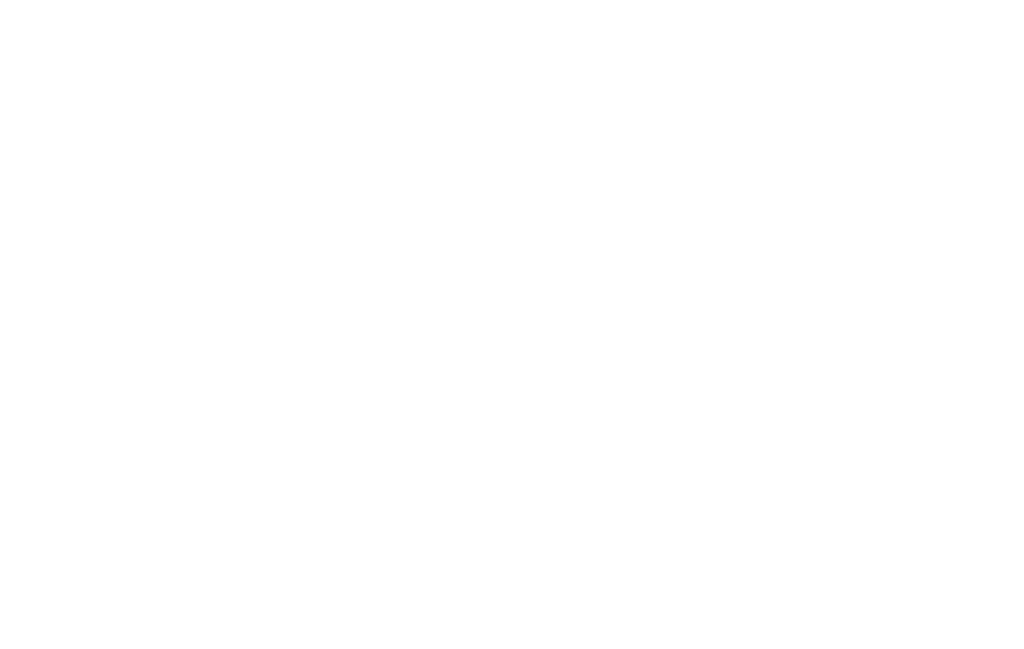 Vast & Vibrant Logo