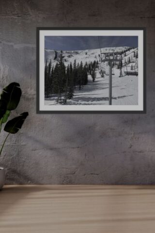 Featured Collection - Winter Photography